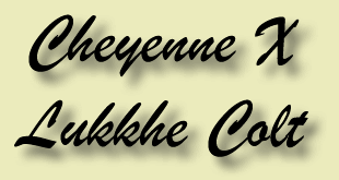 Cheyenne X Lukkhe Colt