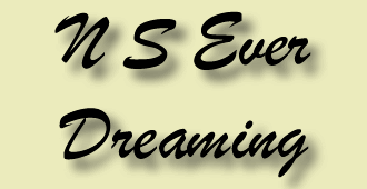 N S Ever Dreaming